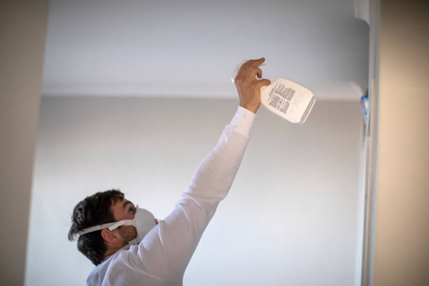 Attic Mold Removal in Pelican Rapids, MN