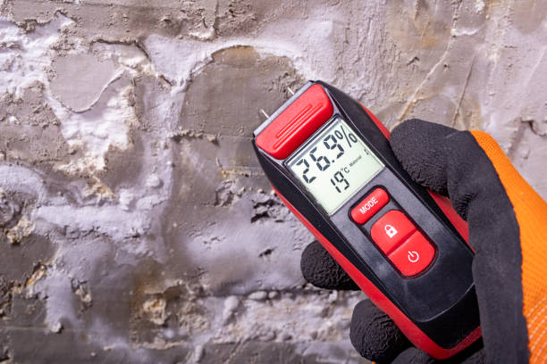 Best Certified Mold Removal  in Pelican Rapids, MN